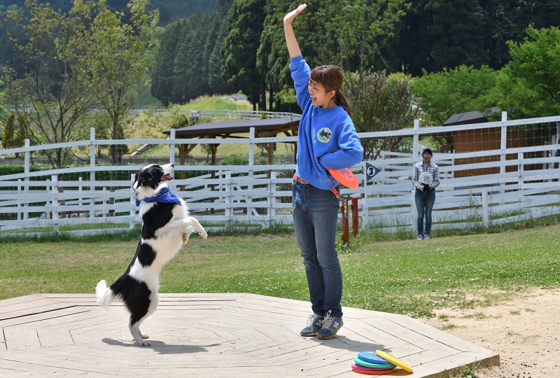 神崎農村公園 ヨーデルの森 兵庫県神河町公式観光サイト かみかわ観光ナビ