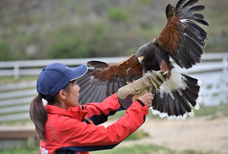 神崎農村公園 ヨーデルの森 兵庫県神河町公式観光サイト かみかわ観光ナビ